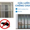 Cửa lưới chống chuột cố định
