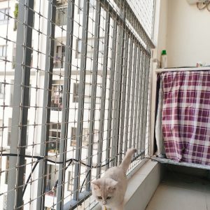 Lưới An Toàn Chống Mèo 10 meo6
